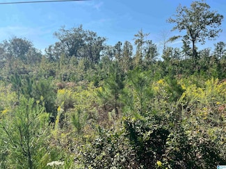 0 Shore Dr Unit 21398219, Ashville, AL 35953