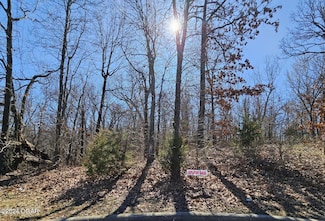 2799 Briaroaks Ln Unit lot 12, Joplin, MO 64804