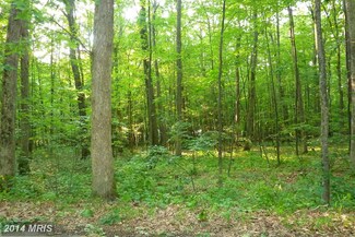 5 Harvey Peninsula Rd, Swanton, MD 21561