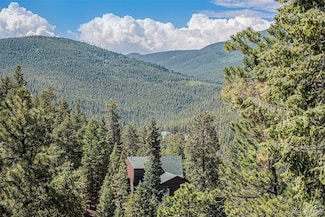 32783 Lodgepole Cir, Evergreen, CO 80439