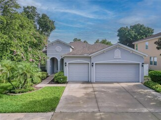 303 Parsons Woods Dr, Seffner, FL 33584