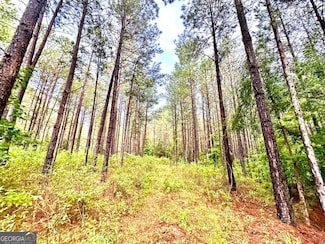 4760 Jordan Rd, Monticello, GA 31064