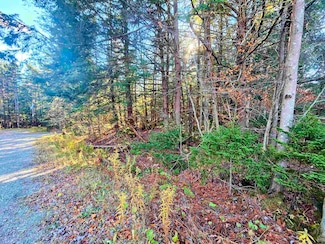 00 Country Ct Unit 693, Wilmington, VT 05363