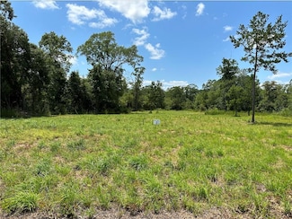 Lot 2 the Banks Dr Hwy 16 Hwy, Franklinton, LA 70438