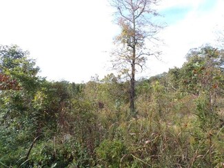 8+Acre Tract Cannonsburg Rd, Catlettsburg, KY 41129