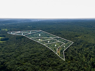 655 Dyer Rd, Hurricane Mills, TN 37078