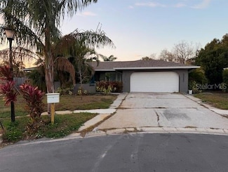 3544 Snowy Egret Ct, Palm Harbor, FL 34683