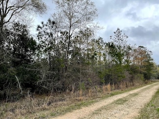 2089 Tom Marsh Rd, Livingston, TX 77351