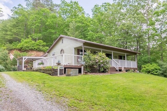 11737 Grapefield Rd, Bastian, VA 24314