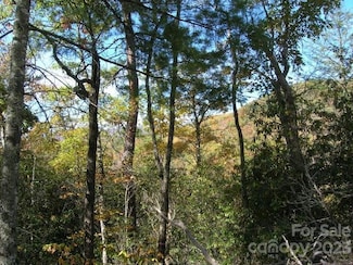 Lot 4 Chimney Top Heights, Bryson City, NC 28713