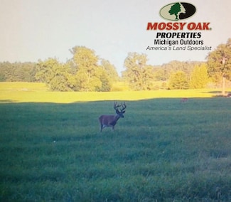 2628 W Brewer Rd, Owosso, MI 48867