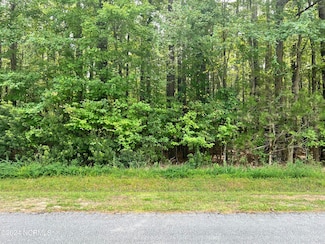 Lot 19 Hill's Point, Blounts Creek, NC 27814