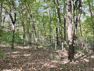 7500 Conservation St NE, Ada, MI 49301