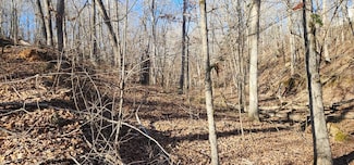 id1 Shady Grove, Holladay, TN 38341