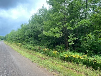 ON Bear Lake Rd, Butternut, WI 54514
