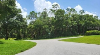 00 SW 192nd Cir, Dunnellon, FL 34432