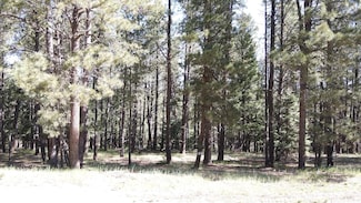 Lot 153 San Andres Dr, Angel Fire, NM 87710