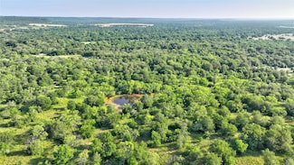 TBD Farm To Market Road 1156 Unit 15.98, Jacksboro, TX 76458