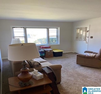 2005 49th St W, Birmingham, AL 35208
