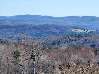L2 Lang Rd Unit Lot 2, Summit, NY 12175