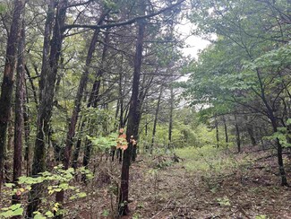 0 Grassy Gap Rd W, Bergman, AR 72601
