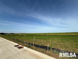6940 Meghan Ave, Bettendorf, IA 52722