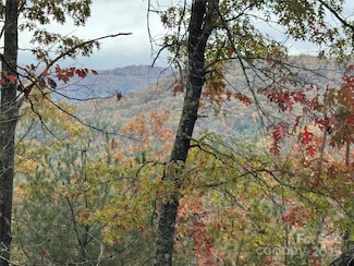 00 King Rd, Pisgah Forest, NC 28768