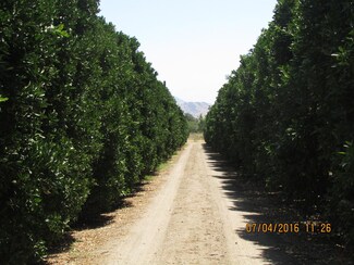 0 Road 136, Orosi, CA 93647