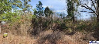 TBD Bennettsville Firetower Rd, Bennettsville, SC 29512