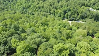 TBD Pell Rd, Kingwood, WV 26537