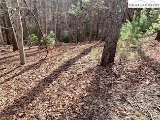 TBD Bear Paw Rd, Deep Gap, NC 28618