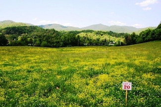0.92 ac Trophy Trout Inlet, Marble, NC 28905