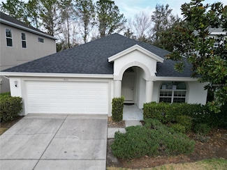 4311 Rustic Pine Place, Wesley Chapel, FL 33544