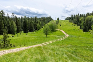 256.87 acres Yellow Creek Rd Unit & White Forest Road, Lead, SD 57754