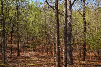 1.71 acres E Bluff Dr, Quitman, AR 72131