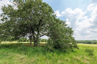 4391 Lynn Rd, Chappell Hill, TX 77426