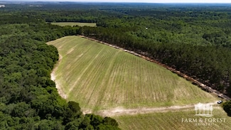 0 County Road 218, Jack, AL 36346
