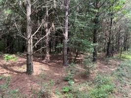 0 Sweetwater Rd, Highland Home, AL 36041