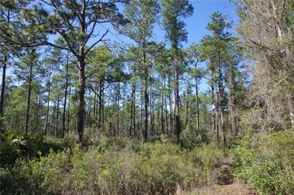 0 NE 67th Ave, Citra, FL 32113
