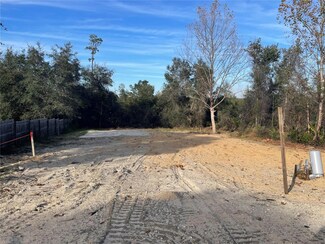 21445 NE 133rd St, Fort McCoy, FL 32134