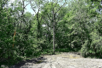 Lot 1 Whitetail Ridge, Mooresville, IN 46158