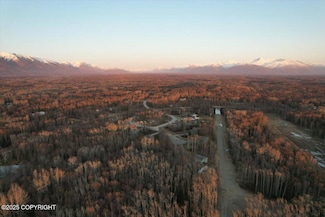 4417 E Harman Loop, Fishhook, AK 99654
