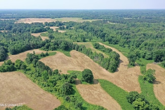 101 Baldwin Rd, Lake Cormorant, MS 38641