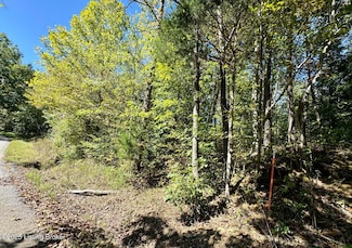 Tract 3 Sulphur Lick Rd, New Hope, KY 40052