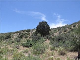 0 Oxen Pass Unit 15137, Wikieup, AZ 85360