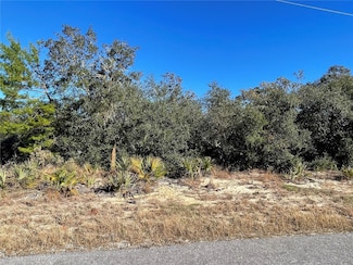 TBD Fisher Trace, Ocklawaha, FL 32179