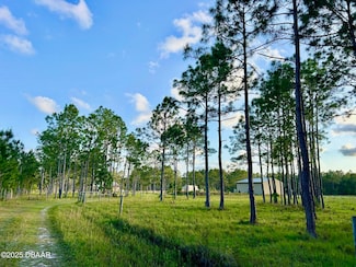 201 Ln, Ormond Beach, FL 32174