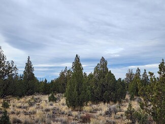 0 Beech Ln Unit 3200,3300 220173092, Prineville, OR 97754