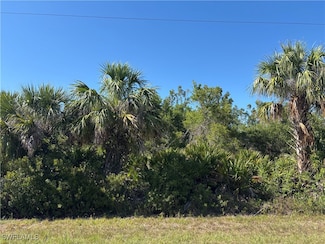 14006 Luxo Ave, Port Charlotte, FL 33953