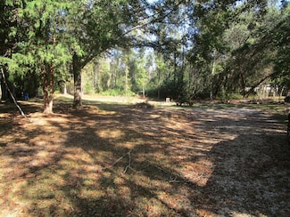 226 Lonnie Rd, Cottonwood, AL 36320
